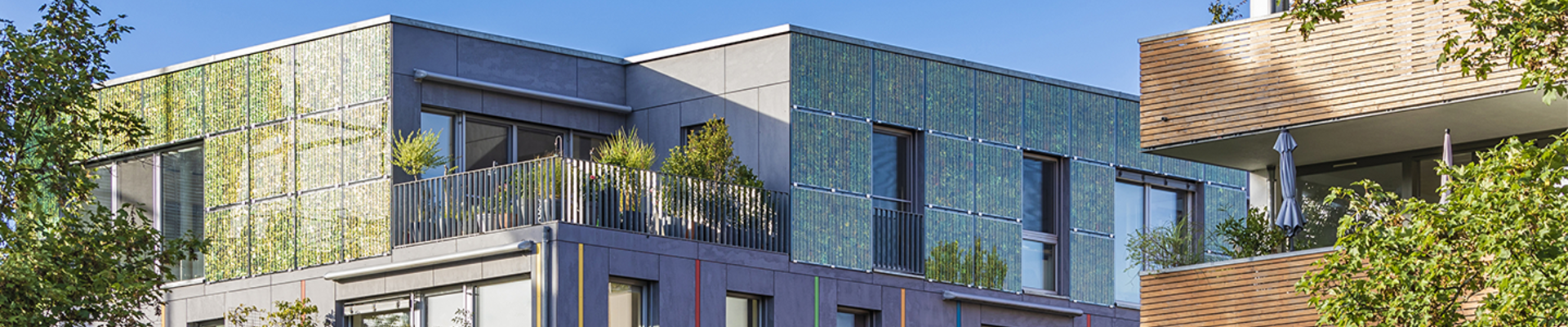 Das Bild zeigt moderne energieeffiziente Mehrfamilienhäuser. Die Häuser sind versehen mit Photovoltaikanlagen. Und umgeben von grünen Büschen und Bäumen. 