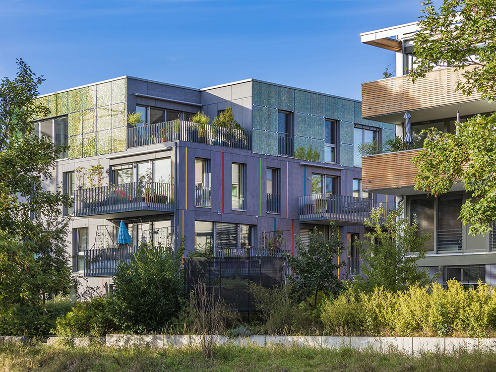 Das Bild zeigt moderne energieeffiziente Mehrfamilienhäuser. Die Häuser sind versehen mit Photovoltaikanlagen. Und umgeben von grünen Büschen und Bäumen. 