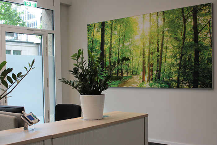 Das Foto zeigt einen Arbeitsplatz im VDI Zentrum Ressourceneffizienz. Im Vordergrund ist ein Schreibtisch mit einer grünen Pflanze zu sehen. Im Hintergrund hängt ein Foto, das seine Waldimpression zeigt, an der Wand.